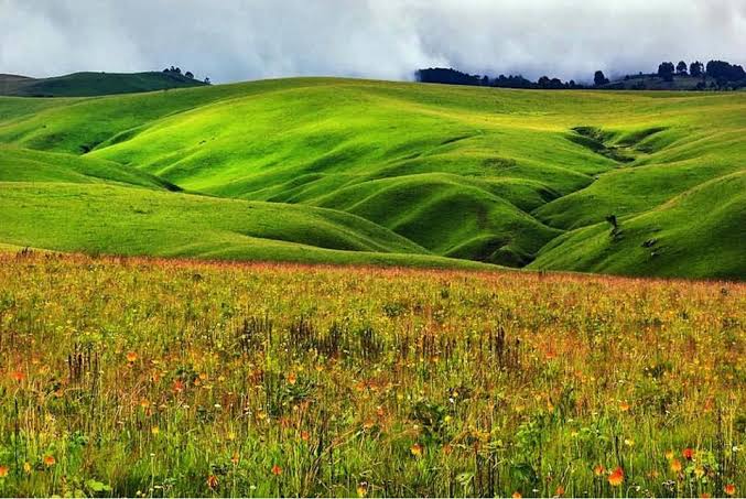 Discover the breathtaking beauty of Kitulo National Park, known as the "Garden of God". Explore the diverse array of flowers and unique landscapes in this hidden gem of Tanzania.