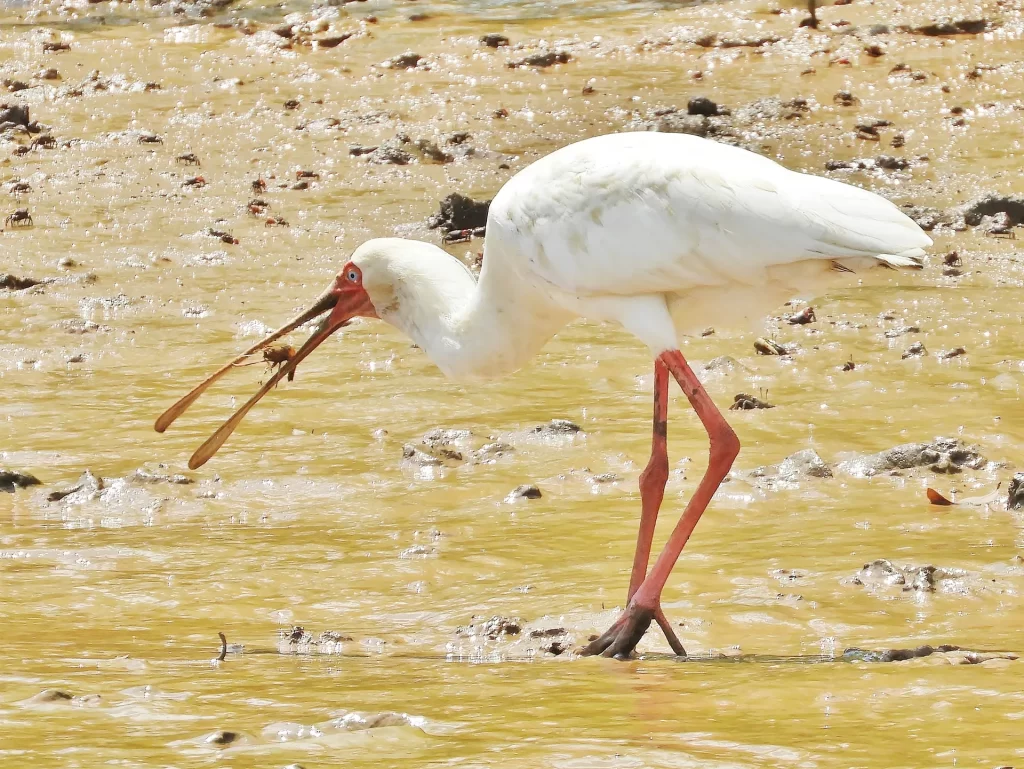 Burigi-Chato National Park