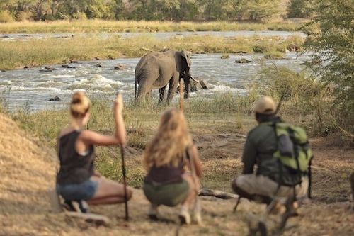 nyerere national park