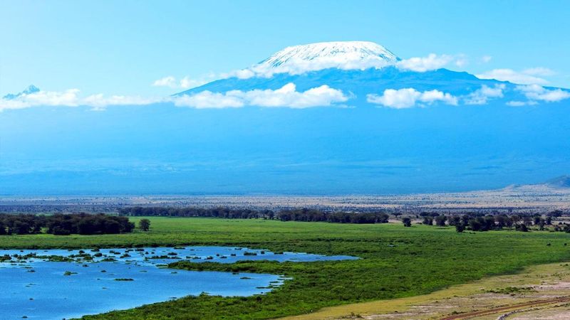 kilimanjaro national park with nduwa tours
