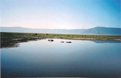 lake eyasi