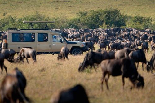 the great serengeti migration