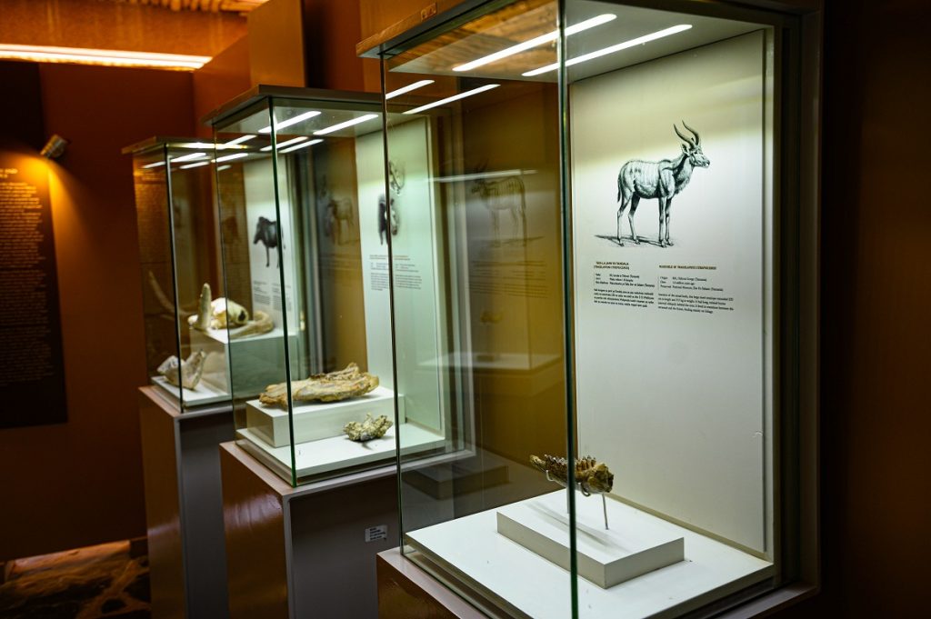 olduvai gorge museum