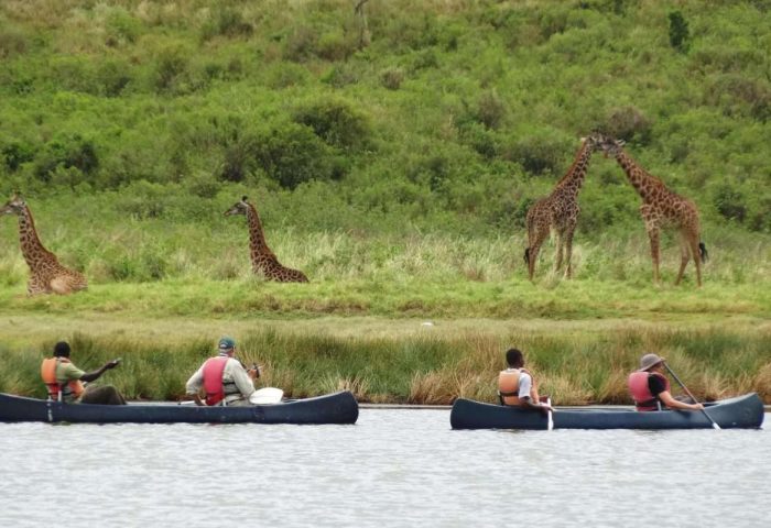 arusha national park nduwa tours day trip