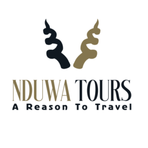 Nduwa Tours is a Tanzania local Tour Operator Company that operates Wildlife Safaris, Mountain Climbing and Zanzibar Beach Holiday at a reasonable and affordable price.