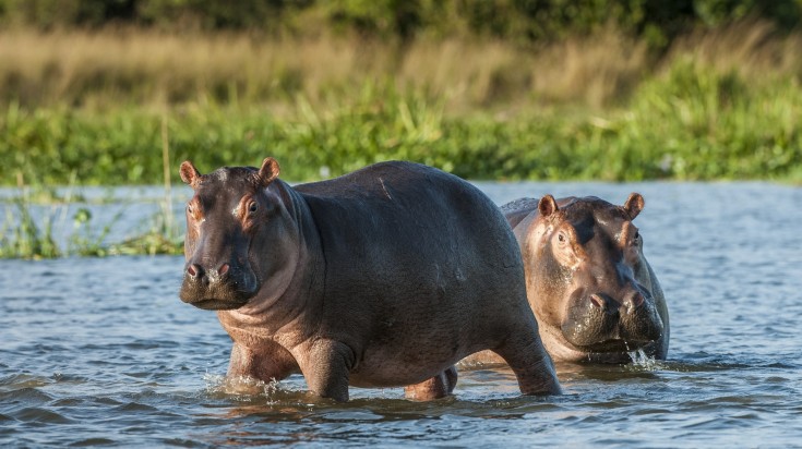 nduwa tours at katavi national park