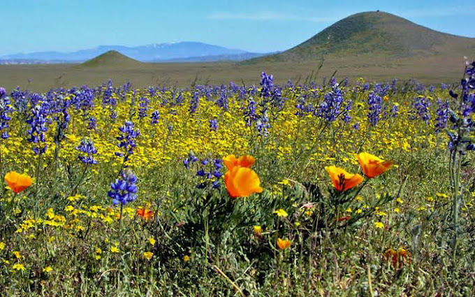 kitulo national park with nduwa tours