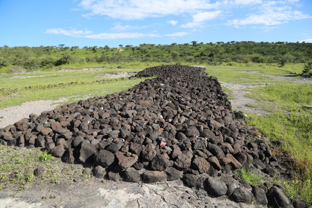 laetoli footprints ngorongoro conservation area with nduwa tours