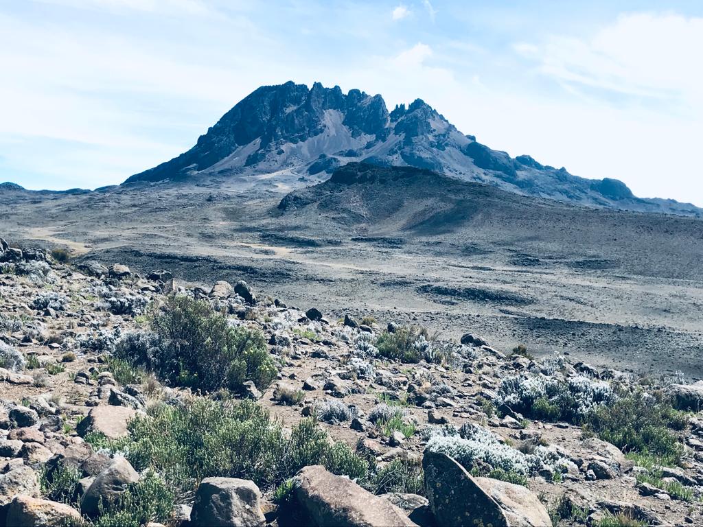 mount kilimanjaro climb/ lemosho route