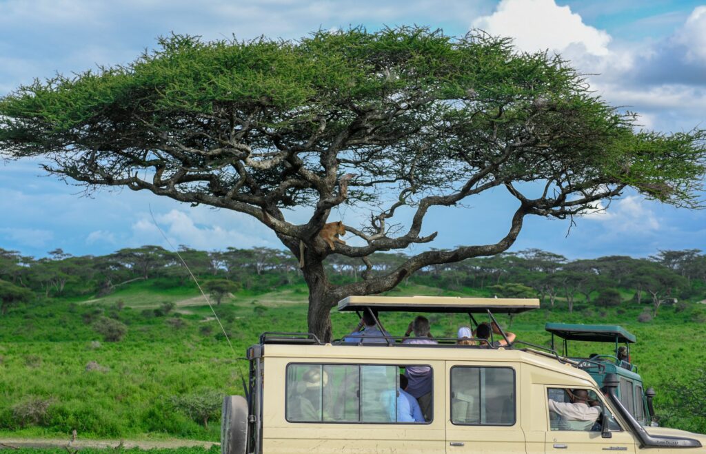 3 Days Tanzania Camping Safari Tarangire & Ngorongoro