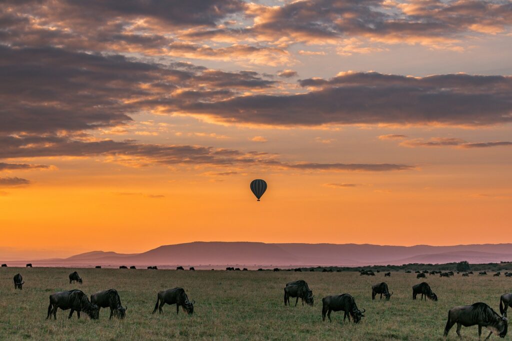 safari, hot air balloon, sunset-6378792.jpg
